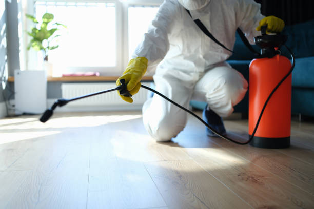 Trusted Trauma Scene Cleanup service in Empire, CO - Four Month Blood Cleanse